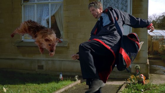 Still from Animal Tragic by Tim Macmillan