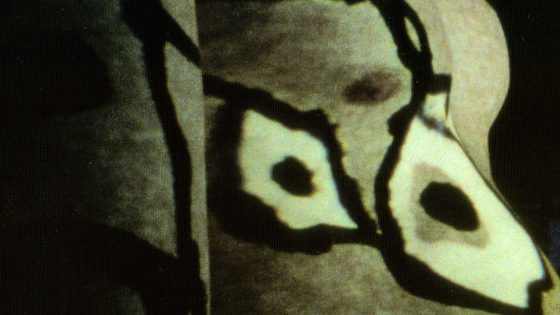 Still from Body Projections by Tony Donoghue