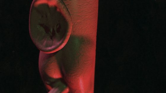 Still from Kingdom Protista by Andrew Kötting
