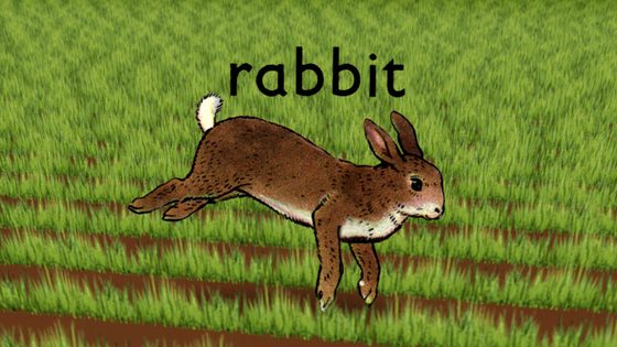 Still from Rabbit by Run Wrake