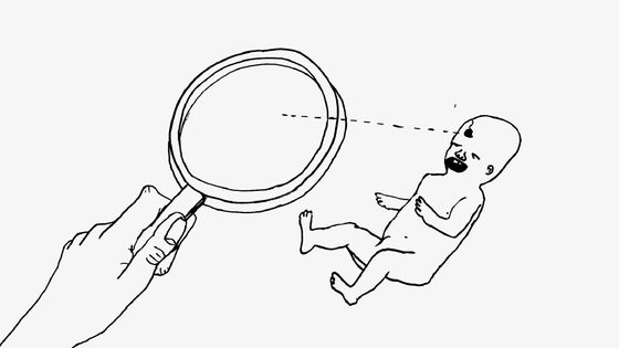 Still from Who I Am and What I Want by David Shrigley & Chris Shepherd